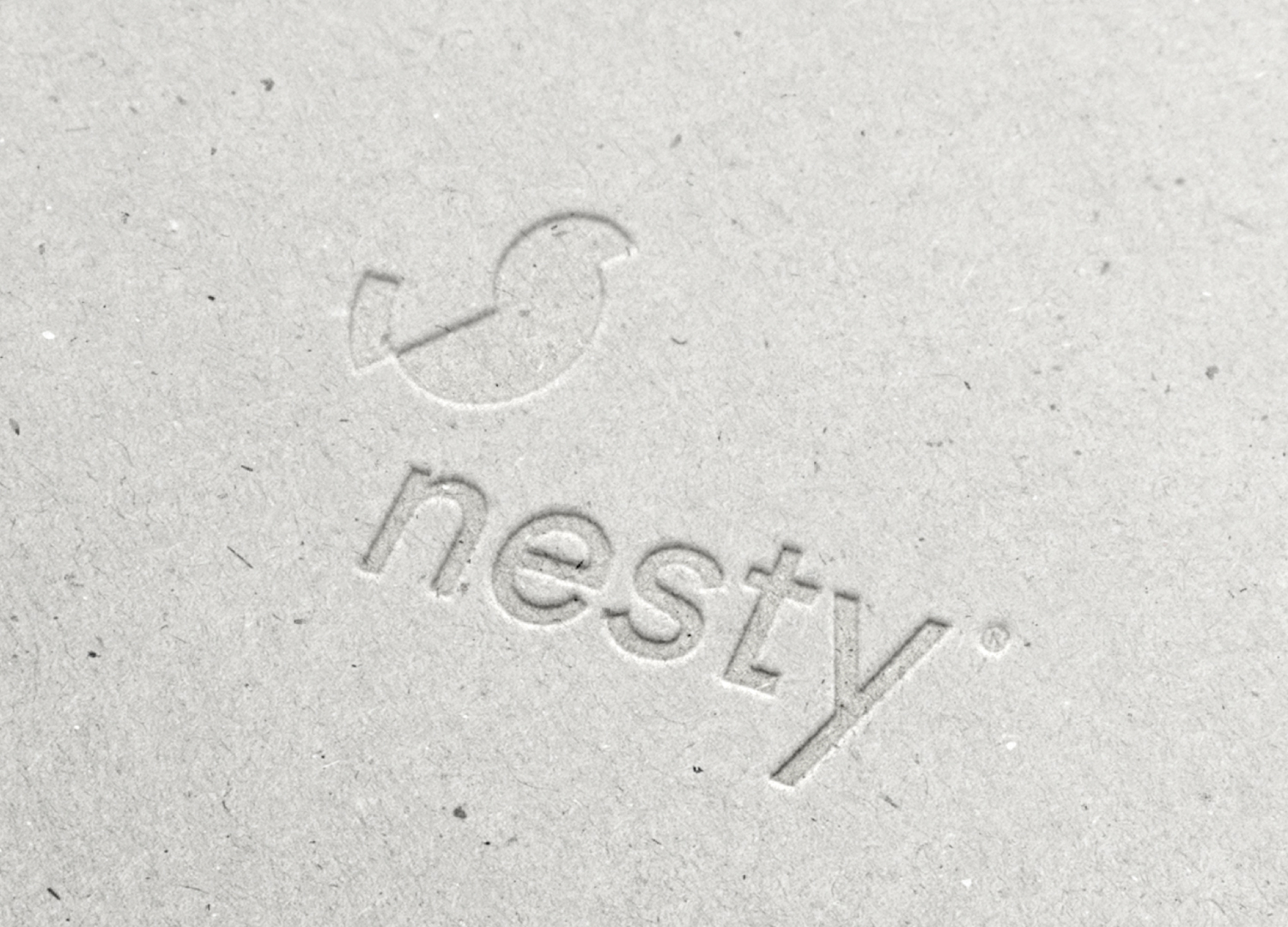 NESTY-3